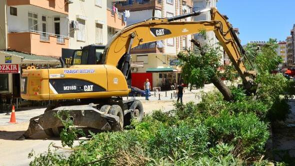 Belediyeden ağaçlara itinalı nakil