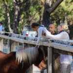 Doğal Yaşam Parkına ziyaretçi akını