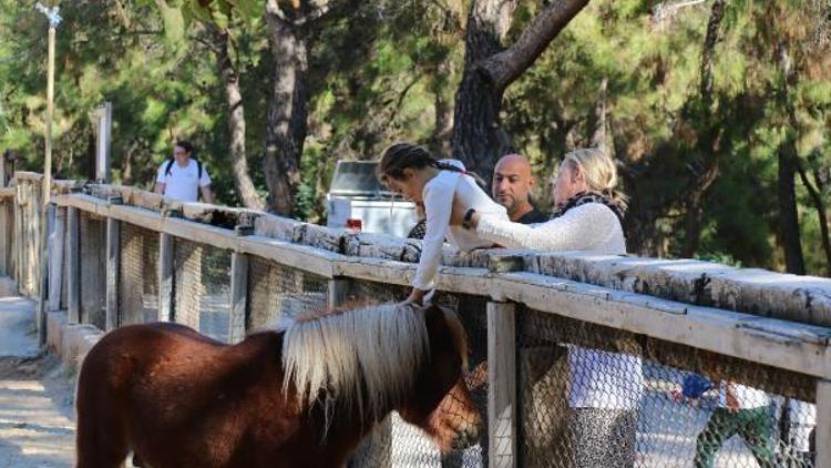 Doğal Yaşam Parkına ziyaretçi akını