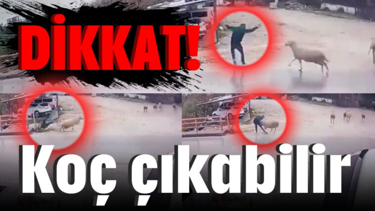 Dikkat! Koç çıkabilir