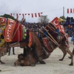 Demrede deve güreşleri düzenlendi