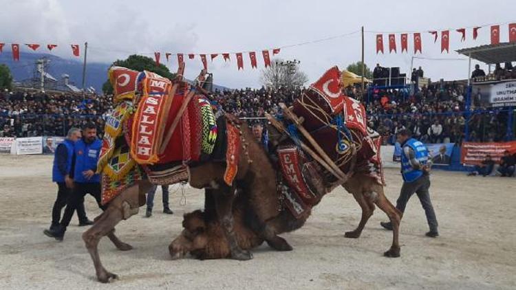 Demrede deve güreşleri düzenlendi