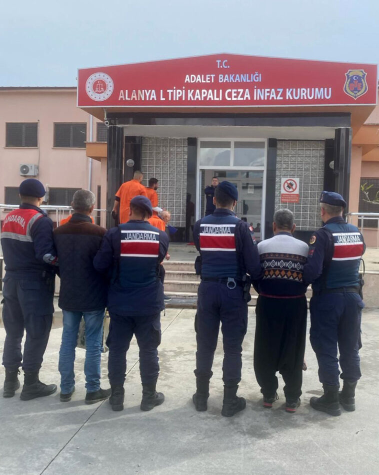 Alanya'da avokado hırsızları yakalandı