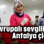 Avrupalı sevgililere Antalya çiçeği