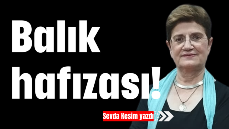 Balık hafızası!