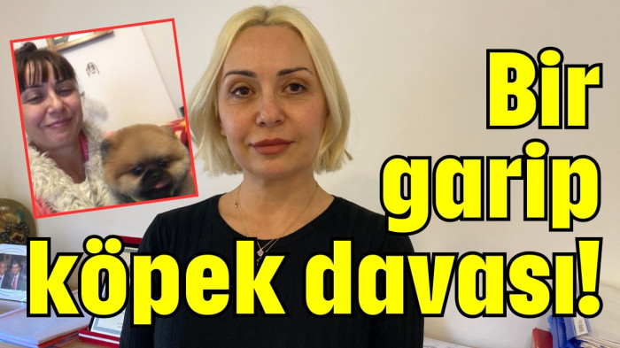 Bir garip köpek davası!