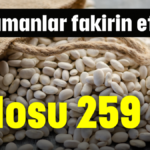 Bir zamanlar fakirin etiydi! Kilosu 259 TL