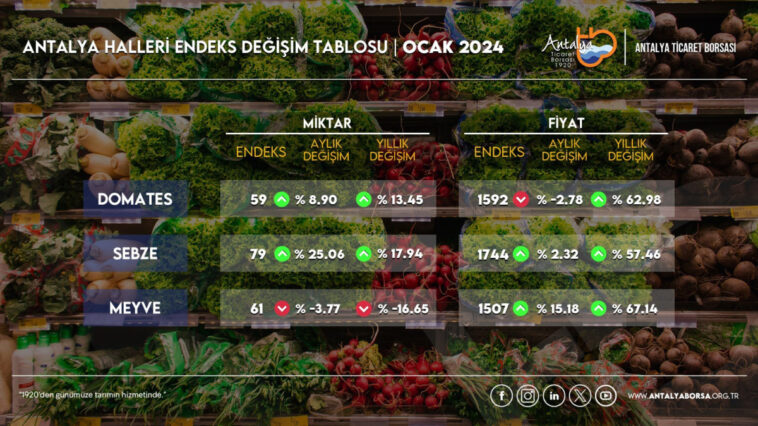 Domates ve sebze miktarında rekor artış