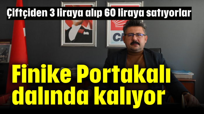 Finike Portakalı dalında kalıyor