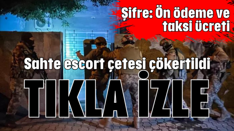 Sahte escort çetesi çökertildi