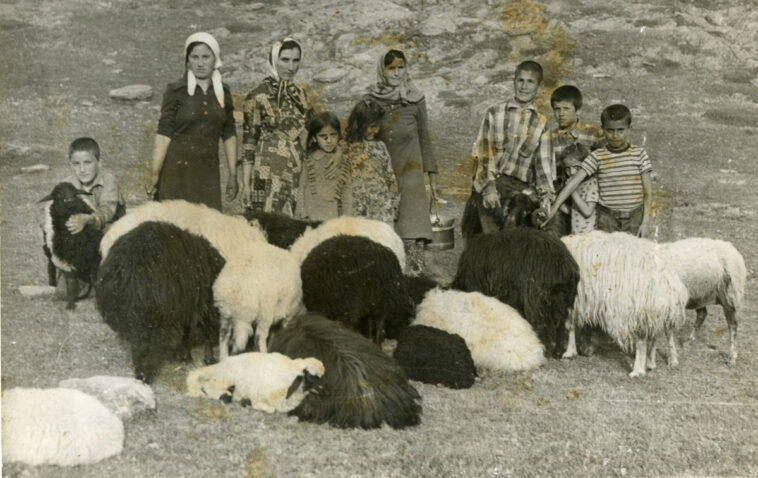 Toros Yörüklerinin hayatı belgesel oldu