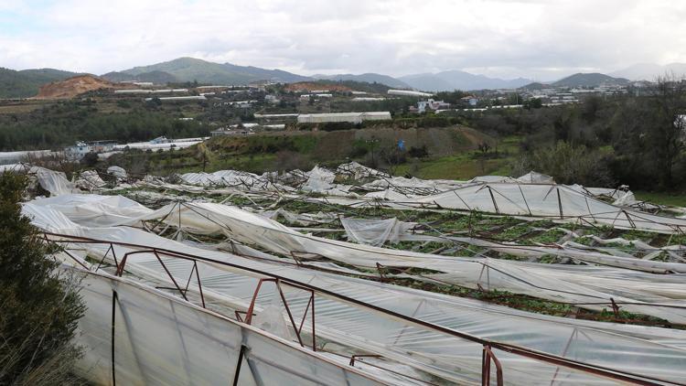 Alanyada 250 dönüm serada hasar oluştu