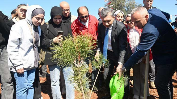 Fidanlar Antalya’ya nefes olacak