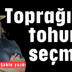 Toprağı ve tohumu seçmek