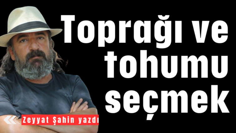 Toprağı ve tohumu seçmek