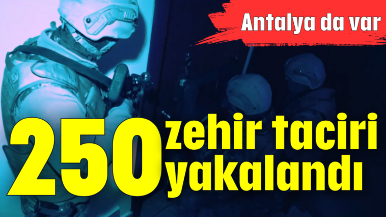 250 zehir taciri yakalandı