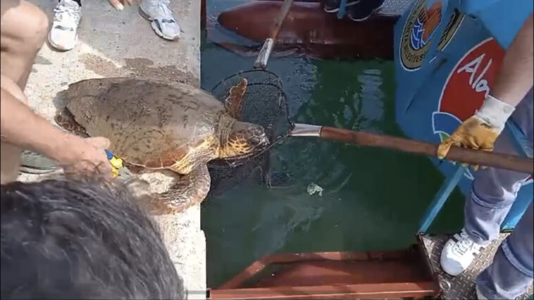 Caretta carettayı vatandaşlar kurtardı