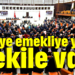 İşçiye, emekliye yok vekile var!