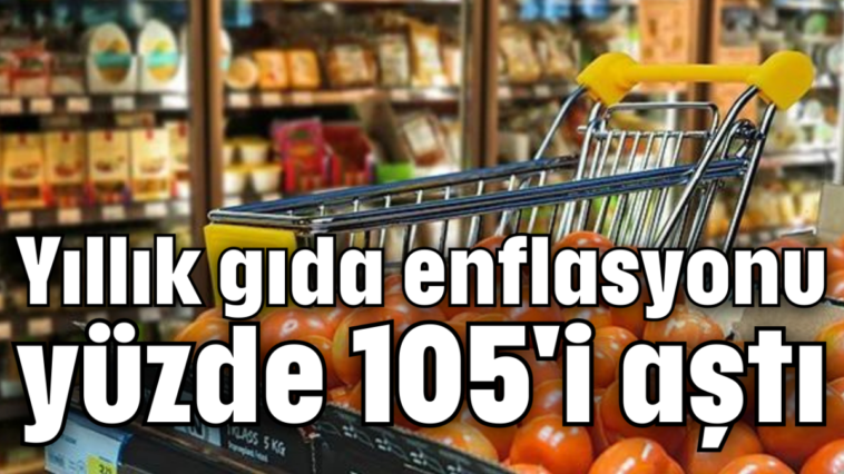 Yıllık gıda enflasyonu yüzde 105'i aştı