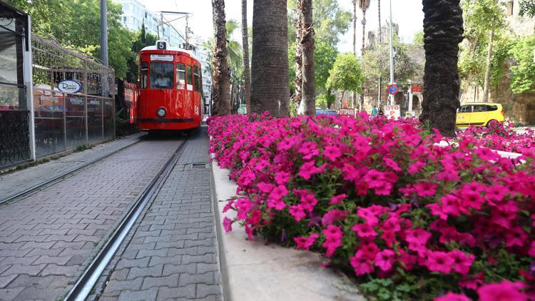 Antalya yazlık çiçeklerle renklenecek