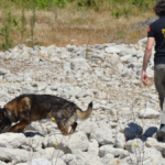 7 aydır kayıp Nihal'i 100 polis arıyor