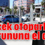 Böcek otopark sorununa el attı