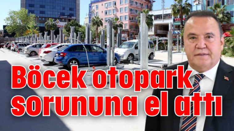 Böcek otopark sorununa el attı