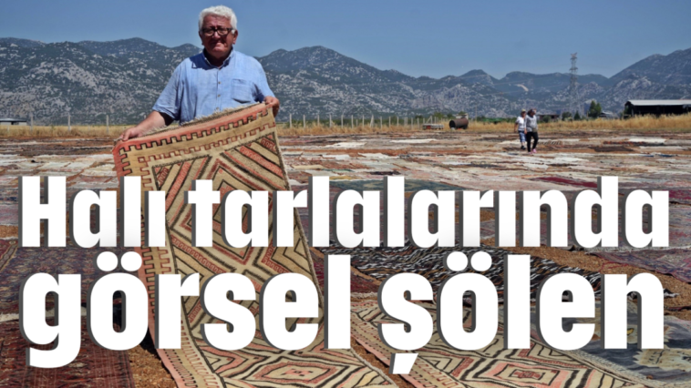 Halı tarlalarında görsel şölen