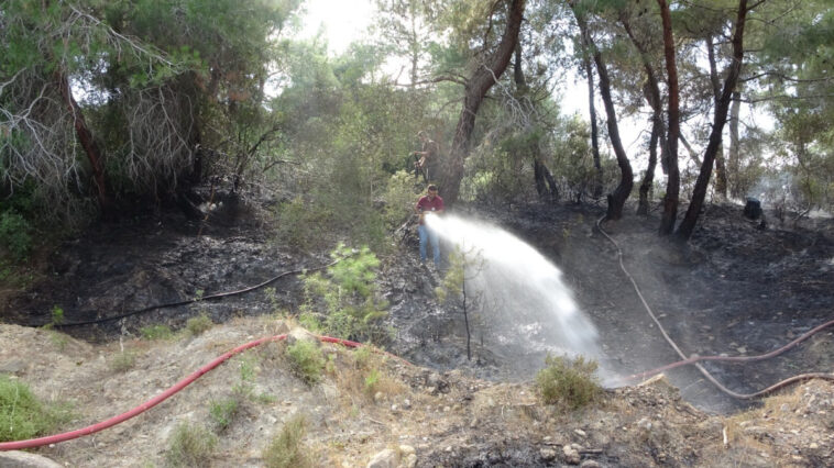 Manavgat'taki orman yangını büyümeden söndürüldü