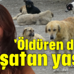 'Öldüren değil, yaşatan yasa'