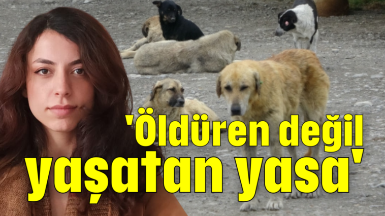 'Öldüren değil, yaşatan yasa'