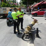 Polisi görünce motosikleti bırakıp kaçtılar