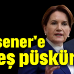 Akşener'e ateş püskürdü