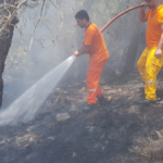 Alanya'da çıkan orman yangını büyümeden söndürüldü