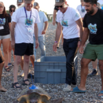 Altın ve Gümüş denize kavuştu