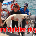 Ankara'dakiler duysun!