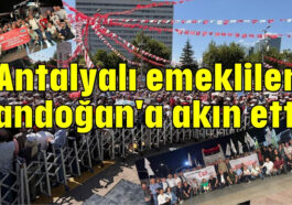 Antalyalı emekliler Tandoğan'a akın etti