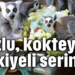 Buzlu, kokteyli, fıskiyeli serinlik