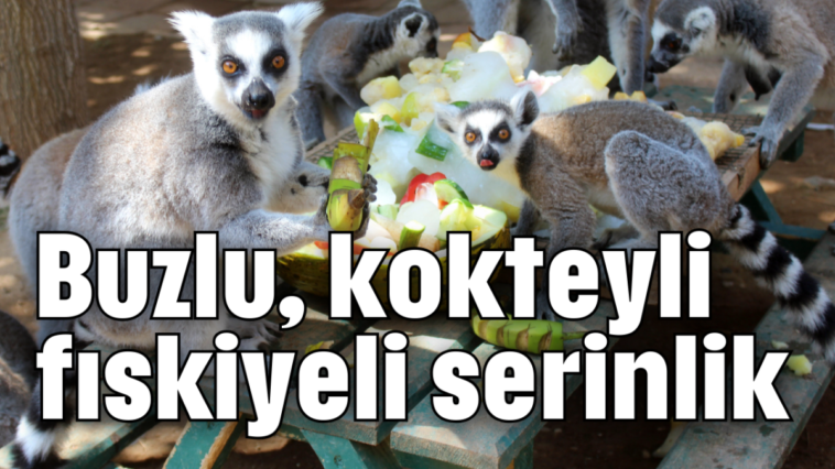 Buzlu, kokteyli, fıskiyeli serinlik