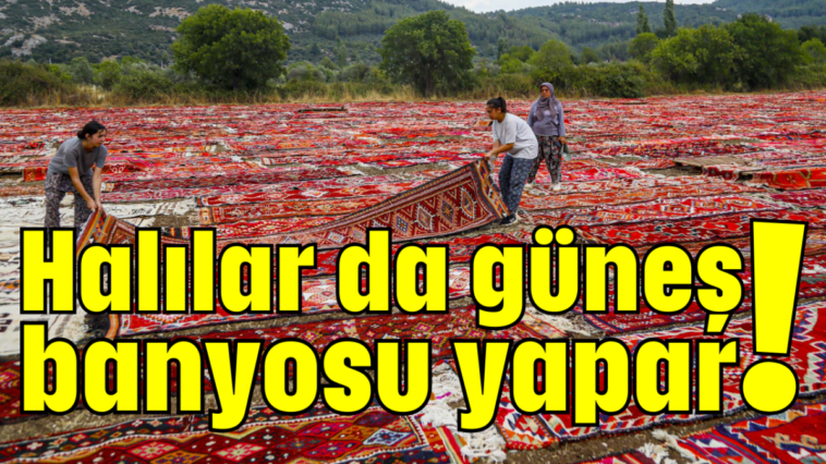 Halılar da güneş banyosu yapar!