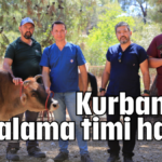 Kurbanlık yakalama timi hazır!