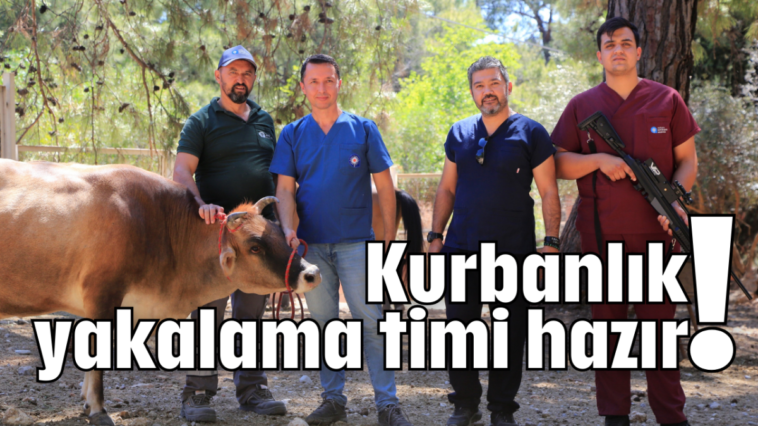 Kurbanlık yakalama timi hazır!