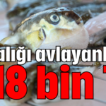 O balığı avlayanlara 218 bin TL