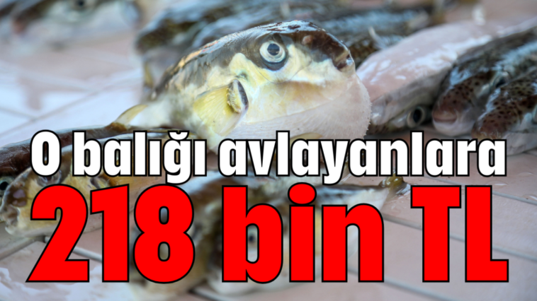 O balığı avlayanlara 218 bin TL