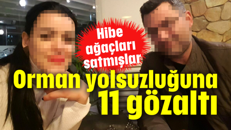 Orman yolsuzluğuna 11 gözaltı