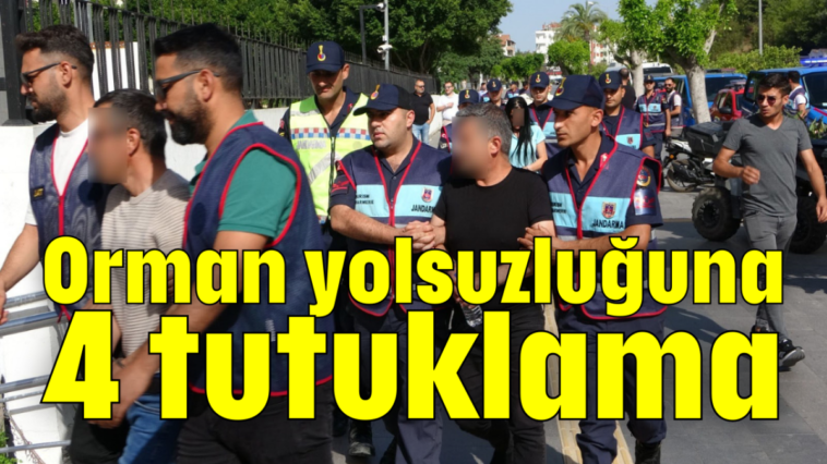 Orman yolsuzluğuna 4 tutuklama