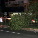 Rüzgar Antalya'da hayatı olumsuz etkiledi