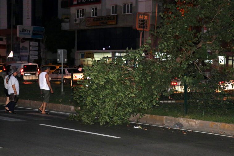 Rüzgar Antalya'da hayatı olumsuz etkiledi