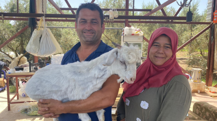 Sahiplendikleri oğlağı biberonla besliyorlar