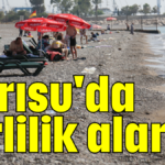 Sarısu'da kirlilik alarmı